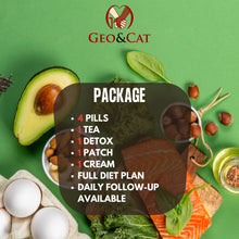 Cargar imagen en el visor de la galería, PLAN DE DIETA RAMENSI